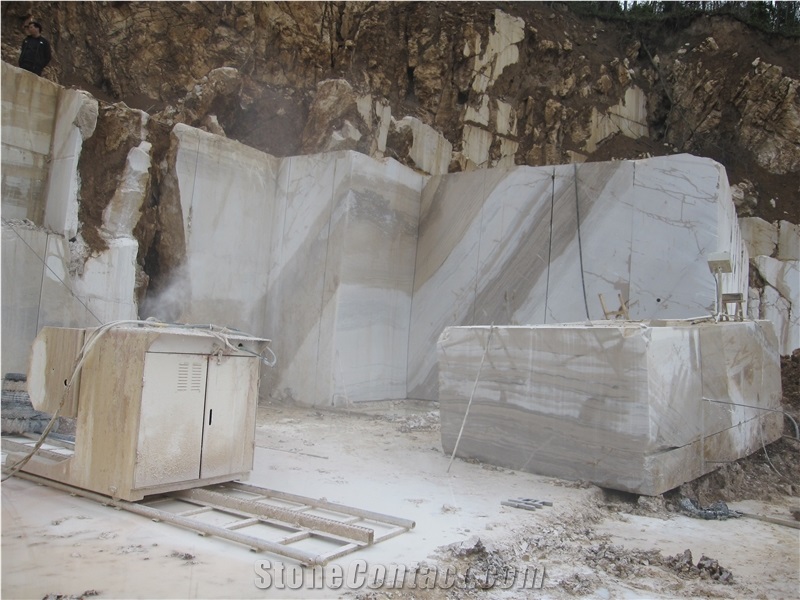 Zebra Wooden Beige Marble Quarry