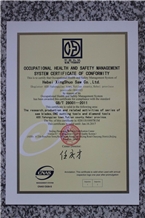 OCCUPATIONAL HEALTH AND SAFETY MANAGEMENT SYSTEM O