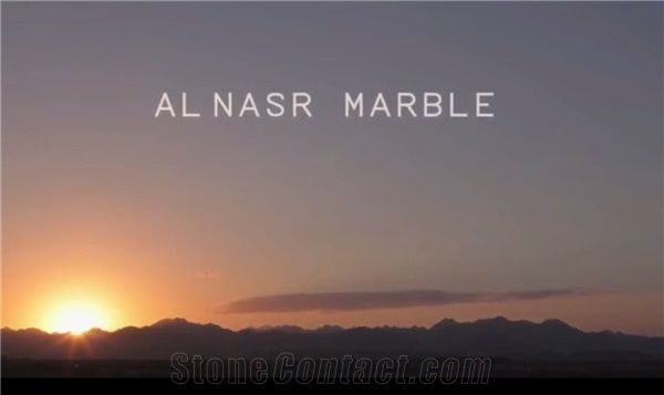 Al Nasr Group of Companies LLC