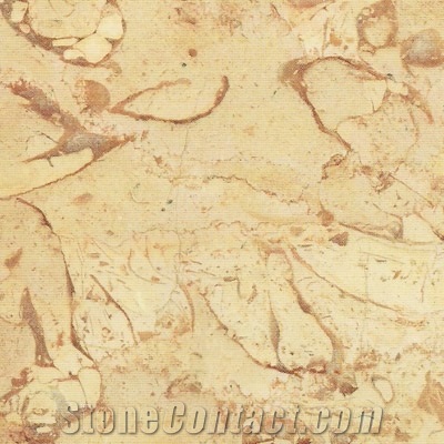 Techno Stone for Marble and Granite