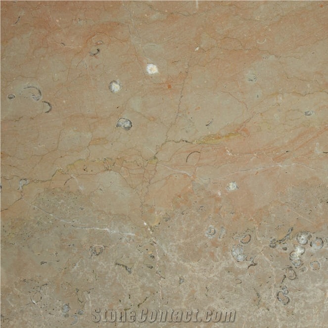 Flora Limestone Cervenilla Quarry