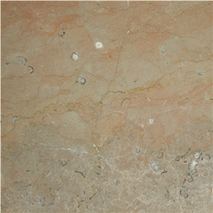 Flora Limestone Cervenilla Quarry
