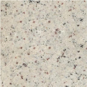 High Quality Regina White Granite Tiles,Regina White Granite Tiles & Slabs,Regina White Granite