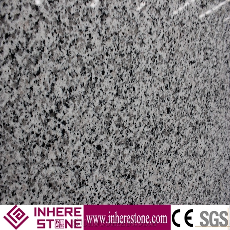 Cut to Size G640 Granite Polished Slabs & Tiles, Black White Flower Granite, G3540 Granite,Barry White
