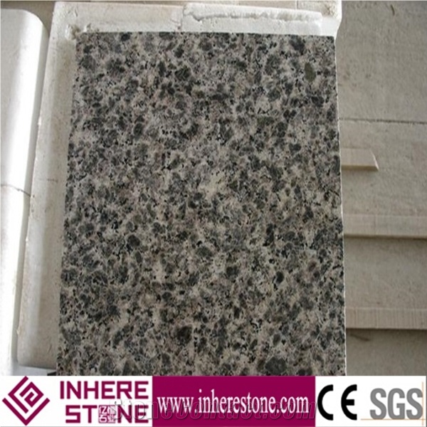 Leopard Skin Granite Slabs & Tiles, China Grey Granite