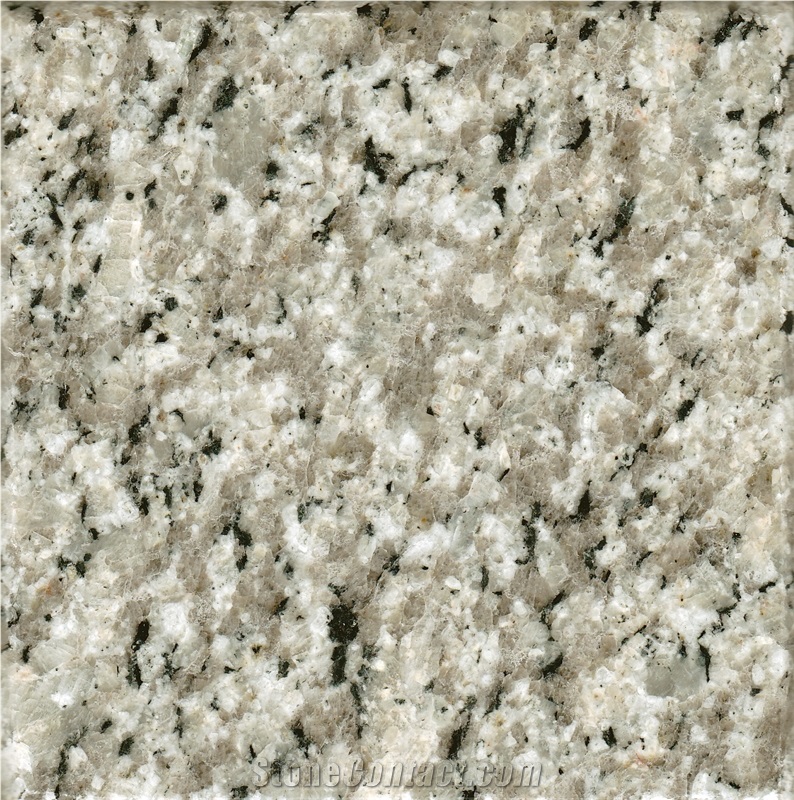 Cream Nehbandan Granite Slabs & Tiles, Beige Polished Granite Flooring Tiles, Walling Tiles