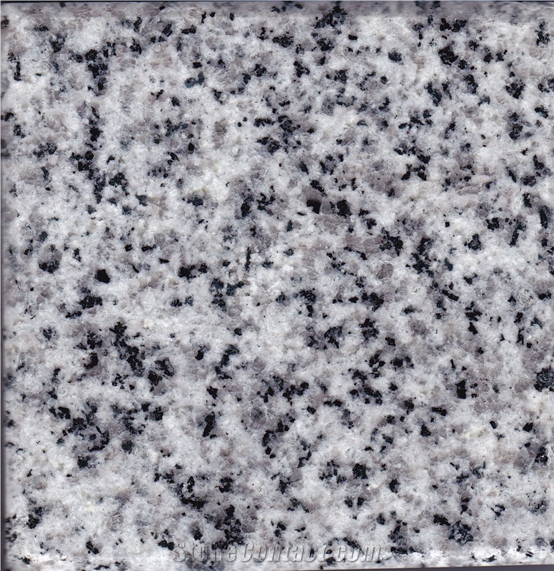 White Natanz Granite Tiles & Slabs, Polished Granite Floor Tiles, Wall Tiles