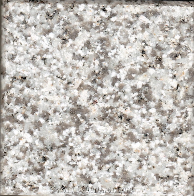 White Zahedan Granite Slabs & Tiles, Polished Granite Floor Covering Tiles, Walling Tiles