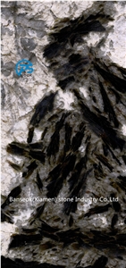 Black and White Quartzite Slab & Tile, Quartzite Floor for Sale