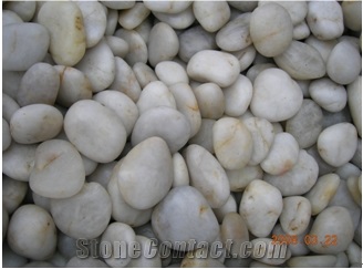 Good Packing Pure White Natural Pebble Stone