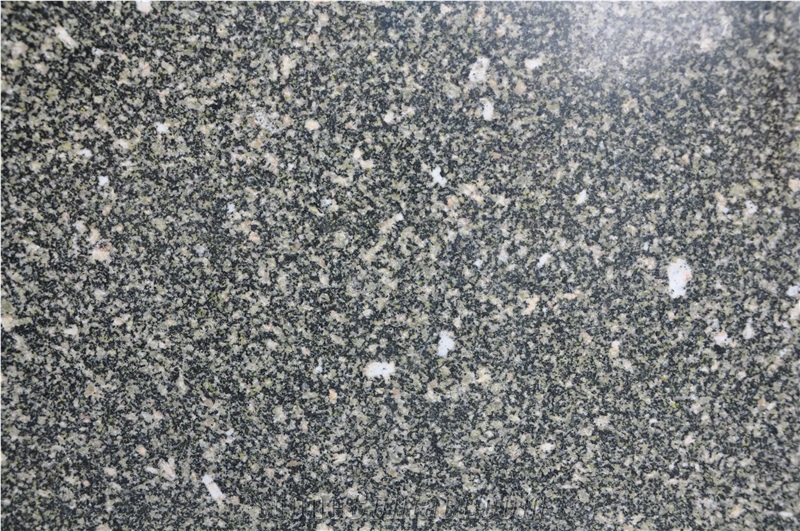 Xiamen China Chinese Narcissus Green Granite Slabs & Tiles Paver Cover Flooring Honed Vein and Cross Cut Different Patterns