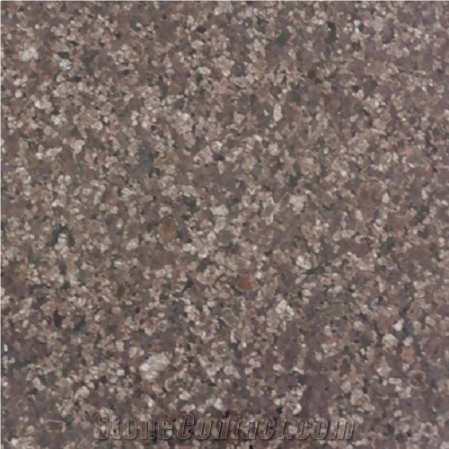 Choclate Brown Granite Tiles & Slabs, Brown Polished Granite Tiles & Slabs