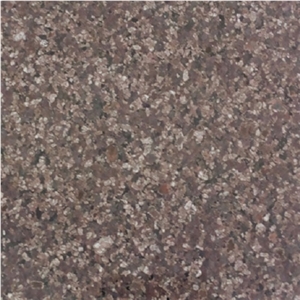 Choclate Brown Granite Tiles & Slabs, Brown Polished Granite Tiles & Slabs