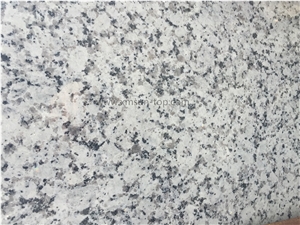 Chinese Bally White Granite / Barry Grey / Bianco Pepperino / Fun White / Misty Grey / Navy Mist / Nei Cuo Bai / Padang Chiaro, Big Slabs & Tiles & Gangsaw Slabs & Strips(Small Slabs) & Customized