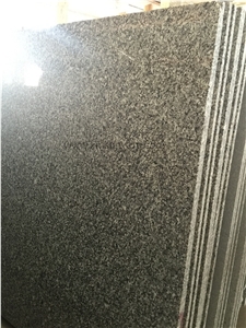 Chinese Grey Sparkle Granite Big Slabs & Tiles & Gangsaw Slabs & Strips(Small Slabs) & Customized, China Grey Granite,Quarry Owner