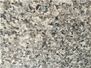 Chinese Grey Sparkle Granite Big Slabs & Tiles & Gangsaw Slabs & Strips(Small Slabs) & Customized, China Grey Granite,Quarry Owner