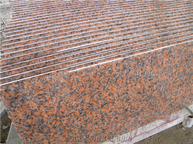 High Polished with Cheap Price G562 Maple Red Granite for Kitchen Countertops