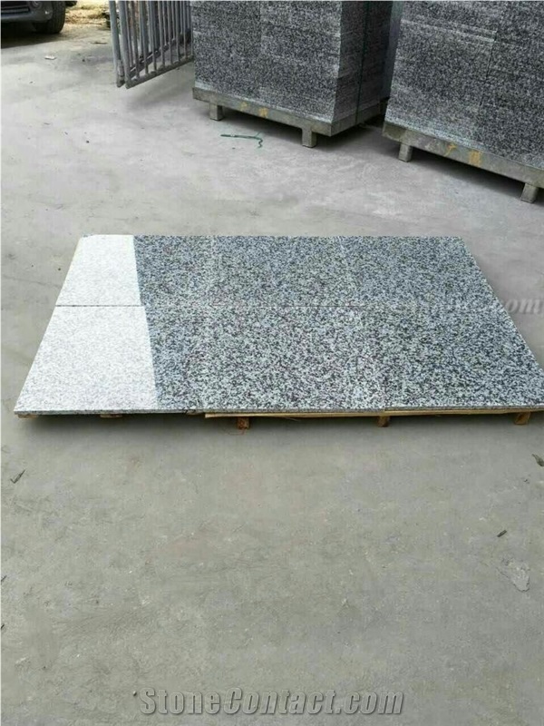 Popular Stone G439 Polished White Granite/ Big White Flower Granite Tiles & Slabs for Floor and Wall Covering