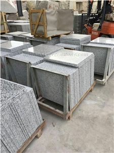 Popular Stone G439 Polished White Granite/ Big White Flower Granite Tiles & Slabs for Floor and Wall Covering