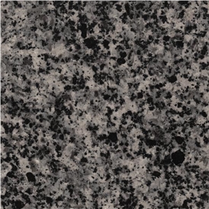 Alamoot Granite Tiles & Slabs, Grey Polished Granite Flooring Tiles
