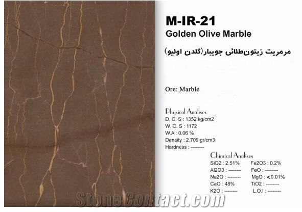Golden Olive Marble