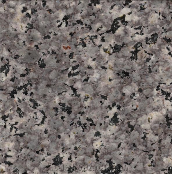 Maragheh Granite Tiles & Slabs, Grey Polished Granite Floor Tiles
