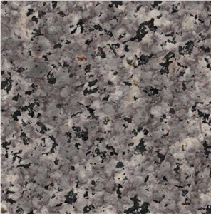 Maragheh Granite Tiles & Slabs, Grey Polished Granite Floor Tiles