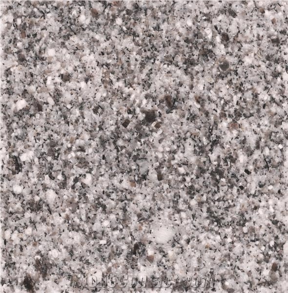 Morvarid Mashhad Granite Tiles & Slabs, White Polished Granite Floor Tiles