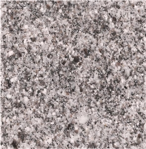 Morvarid Mashhad Granite Tiles & Slabs, White Polished Granite Floor Tiles