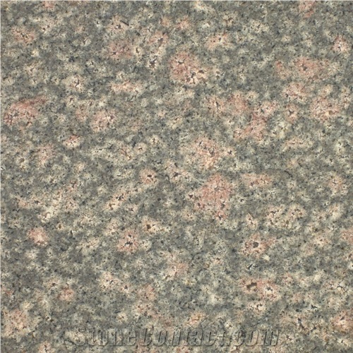 Bala Flower Granite Tiles & Slabs, Green Polished Granite Floor Tiles, Flooring