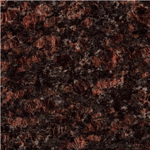 Tan Brown Granite Tiles & Slabs, Brown Polished Granite Floor Tiles