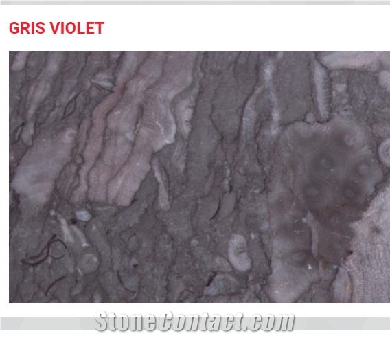 Gris Violet Marble Tiles & Slabs, Grey Polished Marble Tiles & Slabs Morocco, Floor Tiles