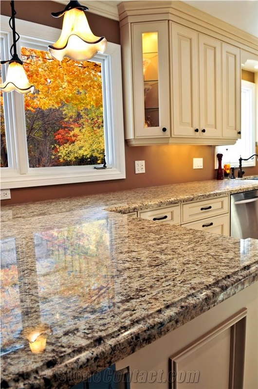 Exotic Ouro Brazil Granite Dupont Edge Countertop From United