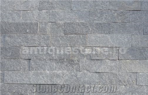 Gneiss Medgidia Gri De Sardinia Splitface Striped Wall Tiles