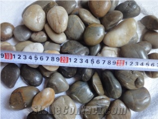 Mixed Pebble Stone , Mixed Color Aggregates, Flat Pebble , Multi Color Gravel , River Stone, Polished Pebbles, Gravel, Mixed Color Pebble Stone, Multi Color Pebble Stone