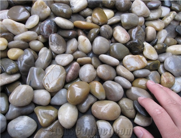 Mixed Pebble Stone , Mixed Color Aggregates, Flat Pebble , Multi Color Gravel , River Stone, Polished Pebbles, Gravel, Mixed Color Pebble Stone, Multi Color Pebble Stone