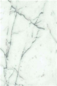 Bianco Venato Gioia Marble Slabs & Tiles, Italy White Marble