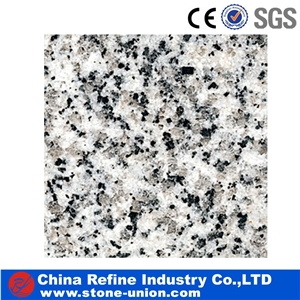 High Quality Nature Granite Slabs & Tiles, China White Granite