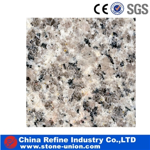 Panda White Chinese Granite Slabs & Tiles, China White Granite, Pop Decorated Material Stone, Decoration Stone Granite Covering Pattern Manufacturer