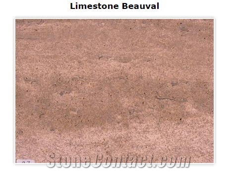 Beauval Limestone - Beauvallon Rubane Limestone