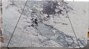 Breccia Cappaia Marble Slabs & Tiles, China White Marble