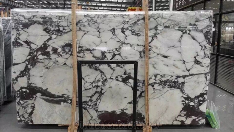 Calacatta Viola Marble Polished Samples&Marble Tiles Flooring, Italy Lilac Marble