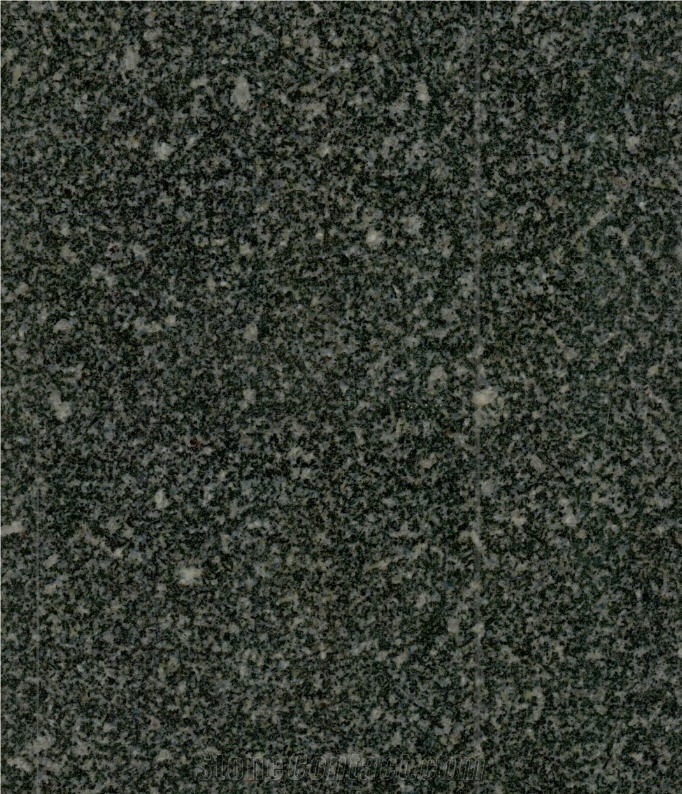 G654 Granite, G654 Sesame Grey Big Slab, Tiles
