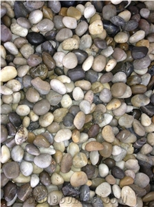 Polished&Honed Mix Color Pebbles, Beige Granite Pebble & Gravel,Polished River Stone&Striped Peebbles,Pebble Walkway,Pebble Stone Driveways,Sliced Pebbles&Gravels,Mixed Color Pebble Stone,Pebbles