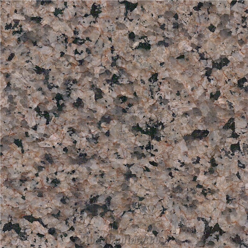 Classic Brown Granite Slabs, Tiles, Brown Polished Granite Floor Tiles, Wall Tiles