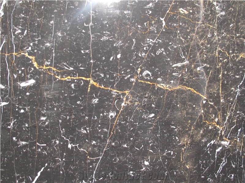 Golden Black Marble Slabs, Black Polished Marble Floor Tiles, Flooring Tiles Iran
