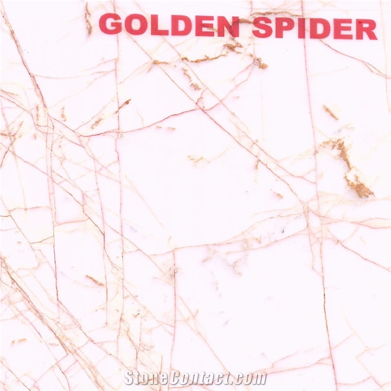 Golden Spider Marble Slabs, Tiles