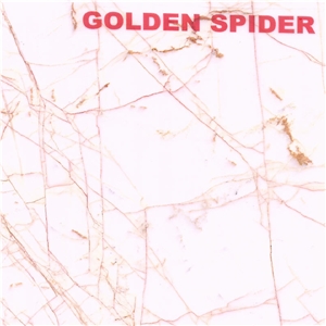 Golden Spider Marble Slabs, Tiles