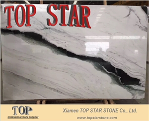 New Arrival Panda White Marble Big Slabs with Black Veins