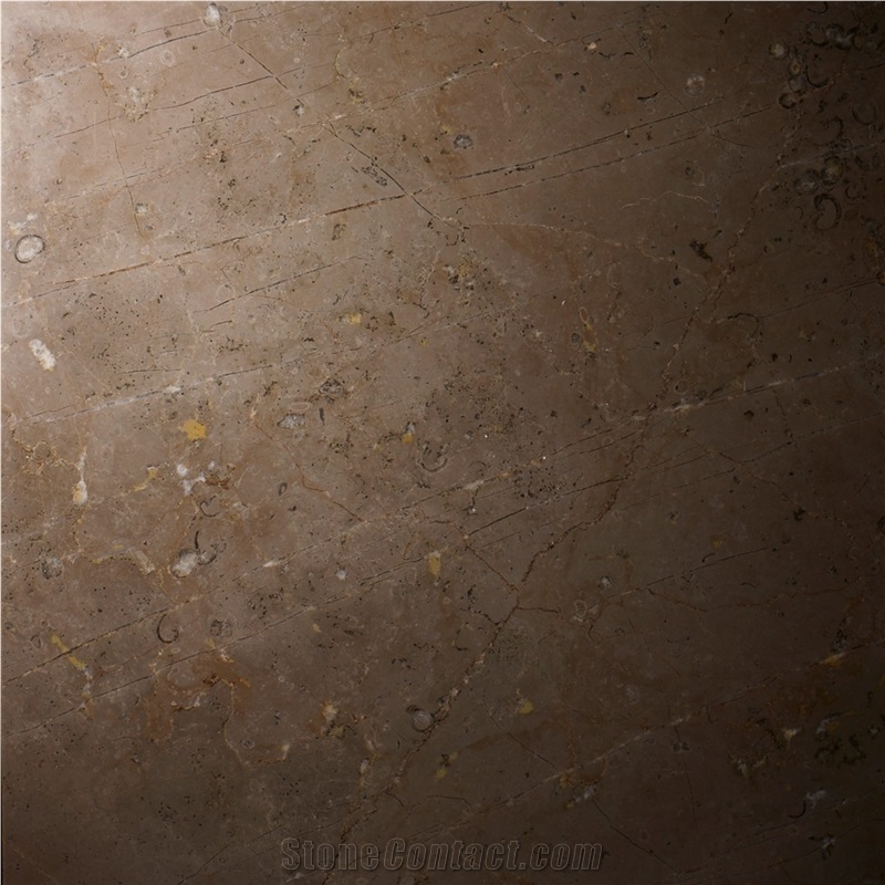 Meteor Limestone Polished Tiles & Slabs, Brown Limestone Floor Tiles & Wall Tiles